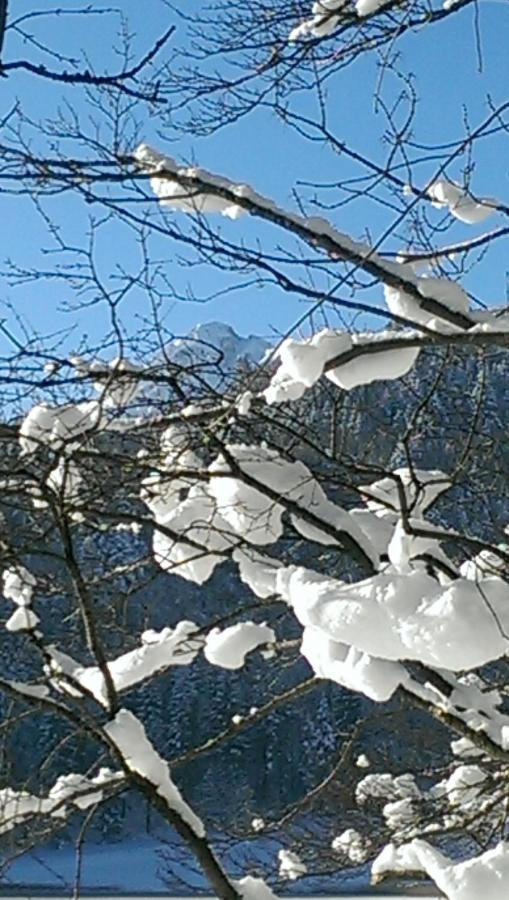 Fw Weissensee 44