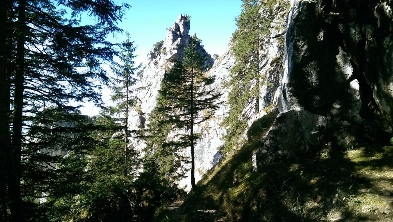 Fw Weissensee 44 * Fussen