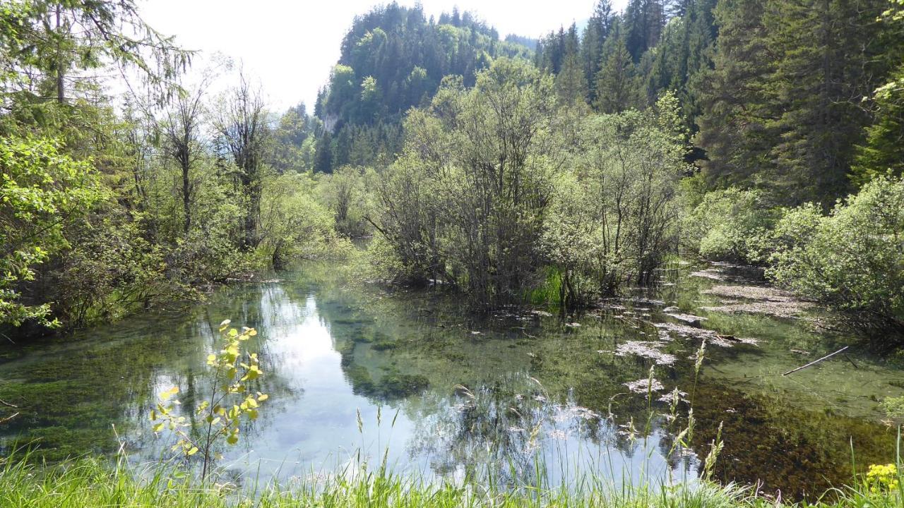 Fw Weissensee 44