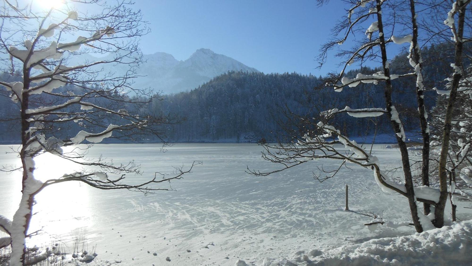 Fw Weissensee 44 *