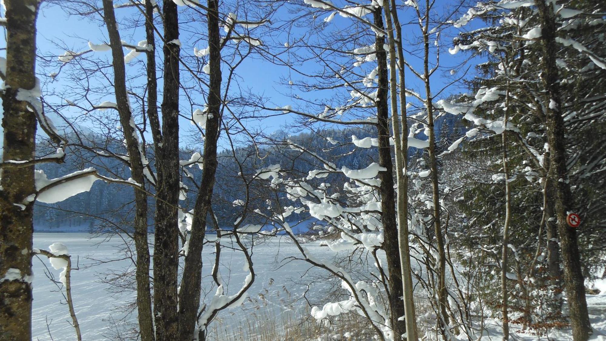 Fw Weissensee 44 * Fussen